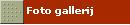 Foto gallerij